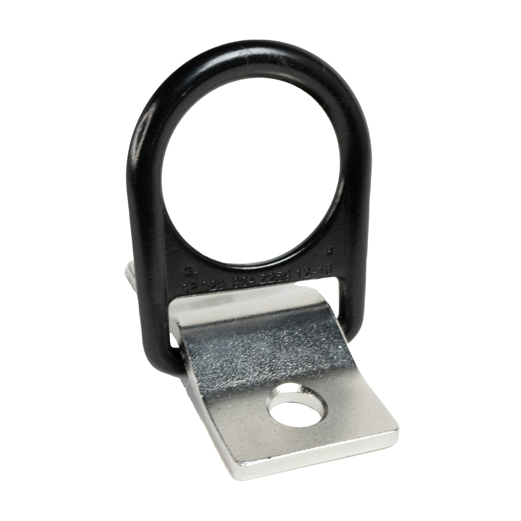 DEWALT Anchor Point – Bolt Down D-Ring – Stainless Steel